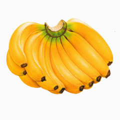 免抠水果图片香蕉