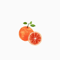 小清新简约手绘水彩红橙