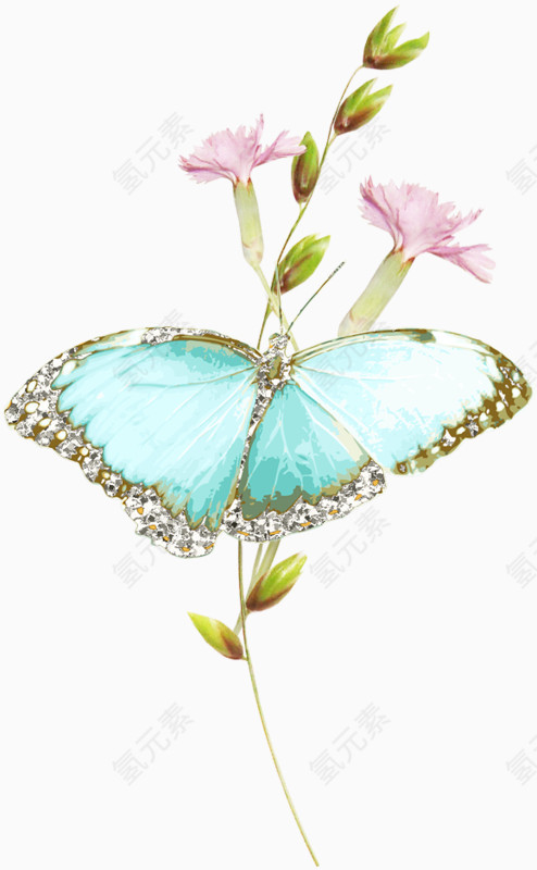 粉色花苞蓝色蝴蝶