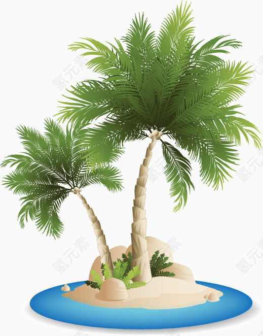 海岛上的大型超大个大棕榈树