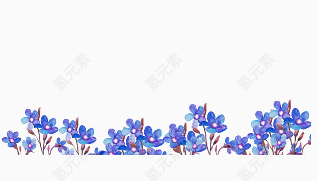 紫色花草