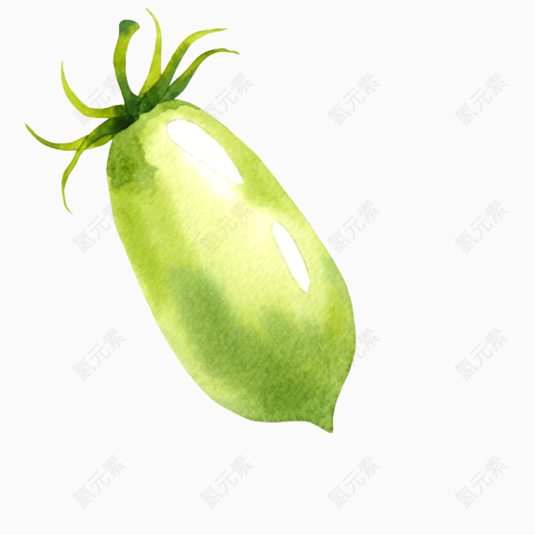 绿瓜