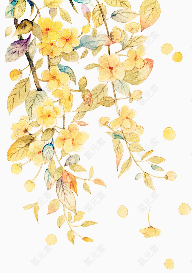 水彩黄色花卉