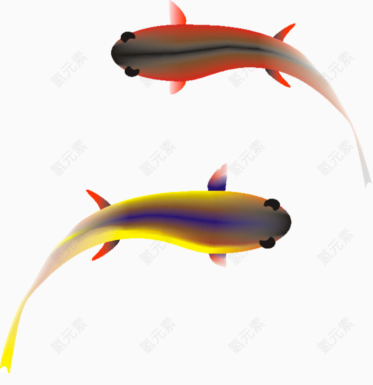 两条金鱼