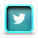 推特pressed-social-icons
