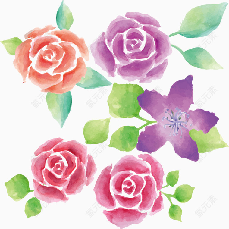 彩色玫瑰花水彩手绘装饰元素