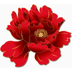 中国红牡丹花