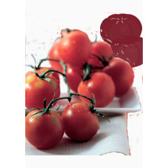 西红柿番茄拼盘