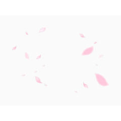清新唯美粉色飞舞的樱花花瓣