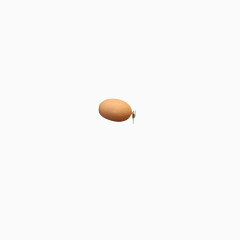 一颗鸡蛋