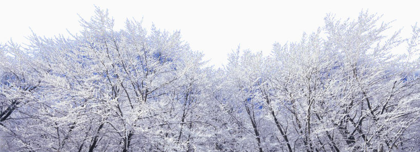 雪原森林下载