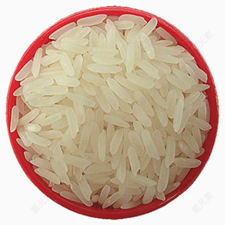 食物水稻大米