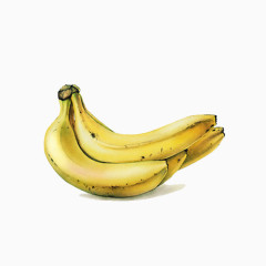 写实手绘香蕉