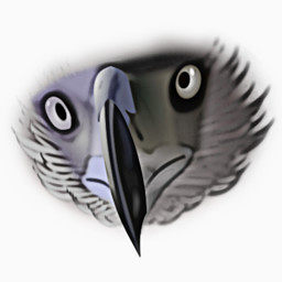 动物鹰的脸open-icon-library-others-icons