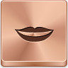 好莱坞微笑bronze-button-icons