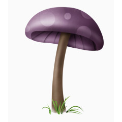 紫色蘑菇