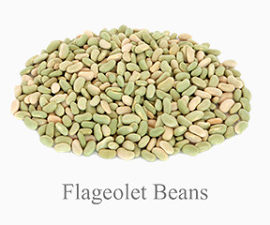 FlageoletBeans