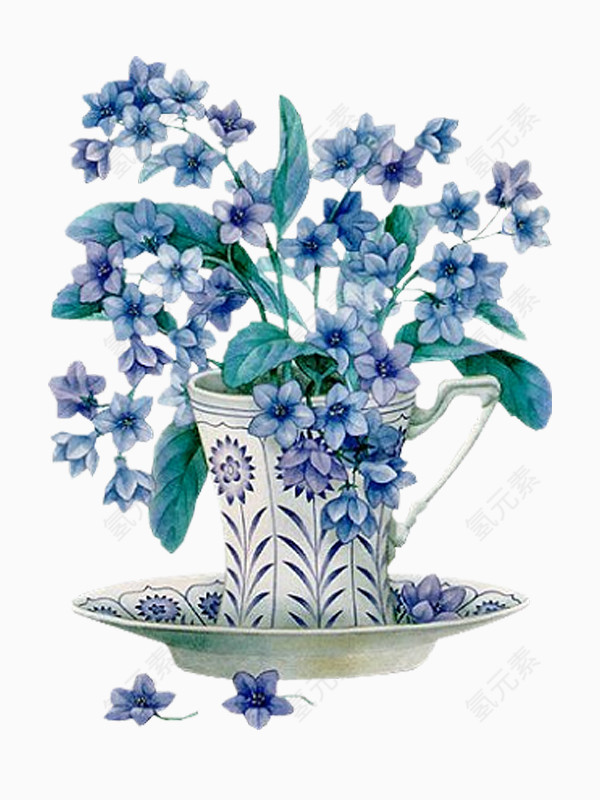 盆景淡蓝色蓝花楹植物花卉