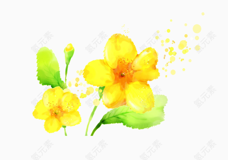 手绘清新黄色花卉