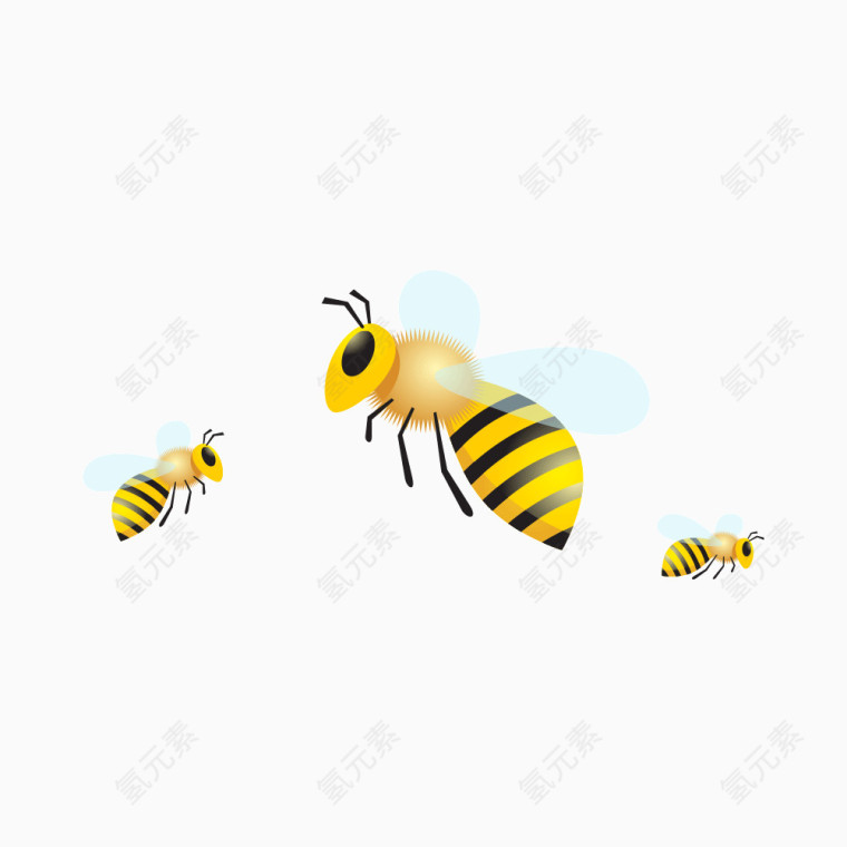 蜜蜂素材