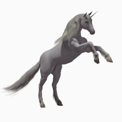 灰色站立的马匹