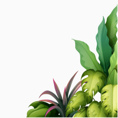 卡通热带植物