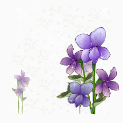 矢量图神秘紫色花朵