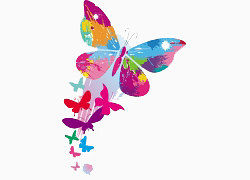 装饰图案飞舞的蝴蝶