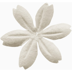 绿植花卉花朵海报背景 白色花瓣