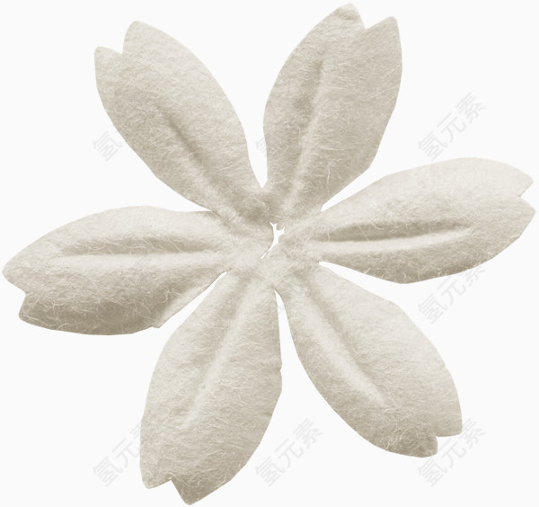 绿植花卉花朵海报背景 白色花瓣