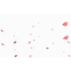 粉色飞舞花瓣