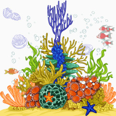 珊瑚海棠海星
