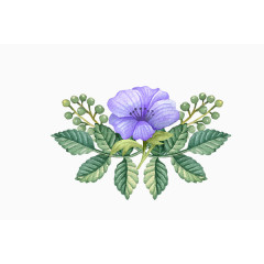 卡通手绘紫色鲜花绿叶装饰图案