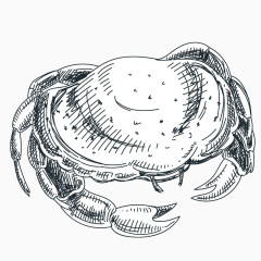 手绘线描螃蟹