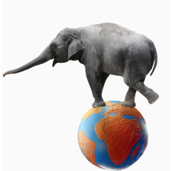 大象地球