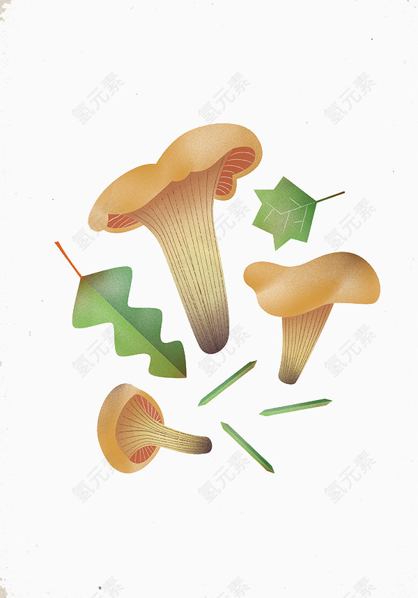 手绘蘑菇和树叶图