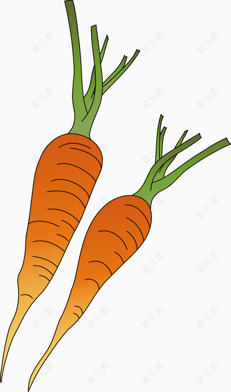 矢量蔬菜设计胡萝卜图