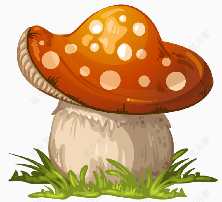 肥美蘑菇