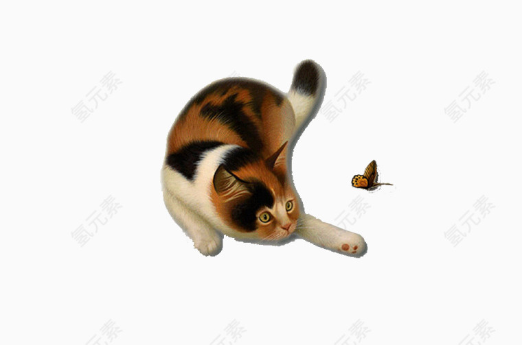 猫与蝴蝶