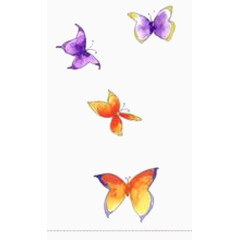 紫色老蝴蝶