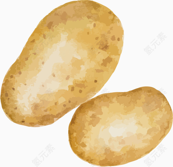 水粉土豆马铃薯矢量