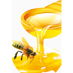 蜂蜜 蜜蜂