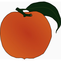 橙色的水果