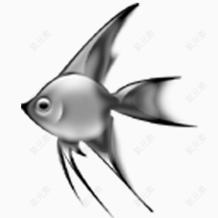 灰色热带鱼