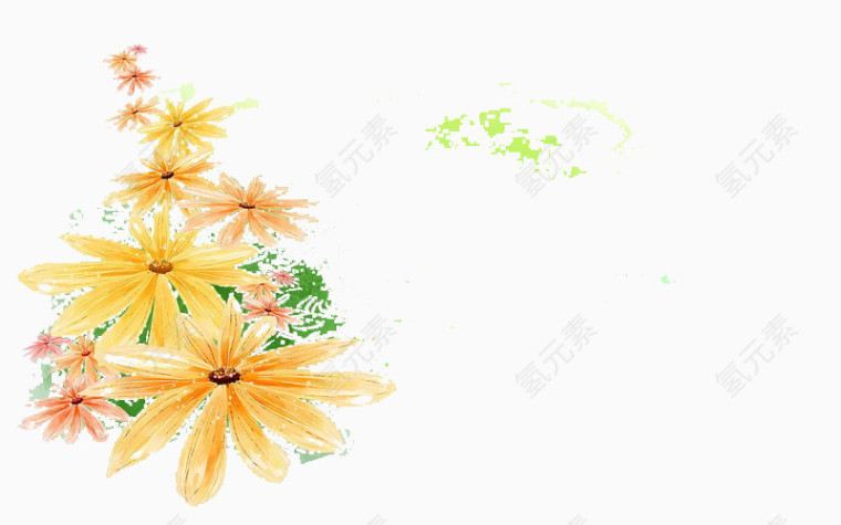 雏菊朵朵开图片素材