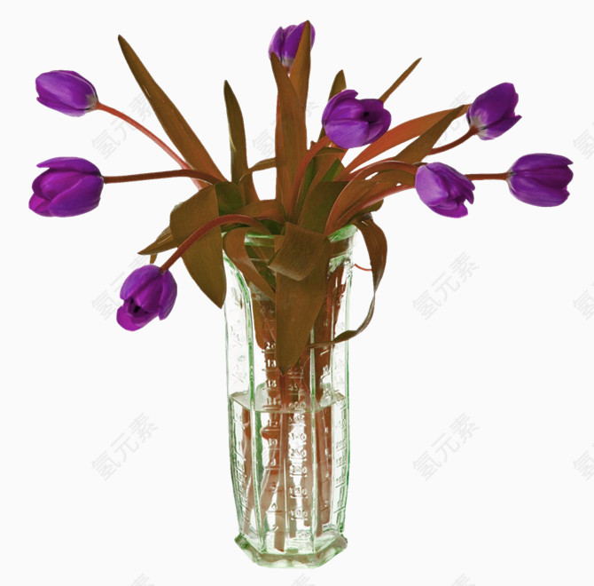 玻璃瓶紫色花朵