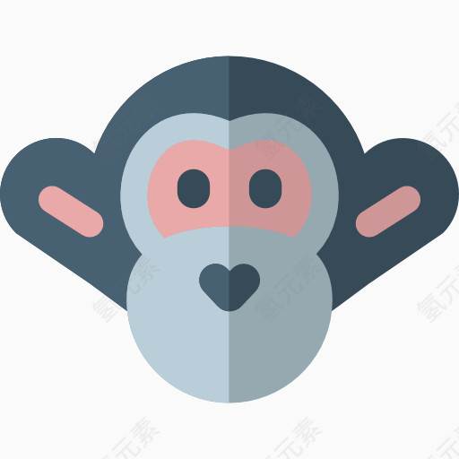 灰色的猴子