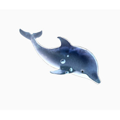 梦幻蓝色海豚