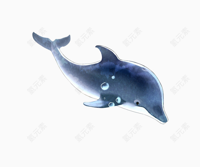 梦幻蓝色海豚