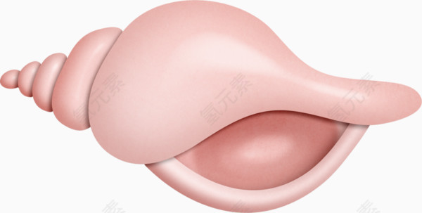 粉色海螺